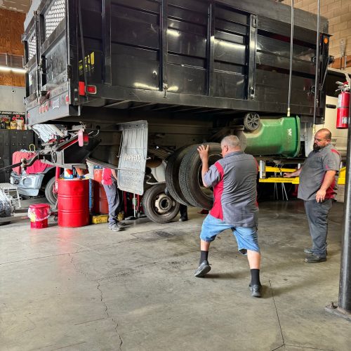 493282076_1273044724340789_3697937647192858495_n